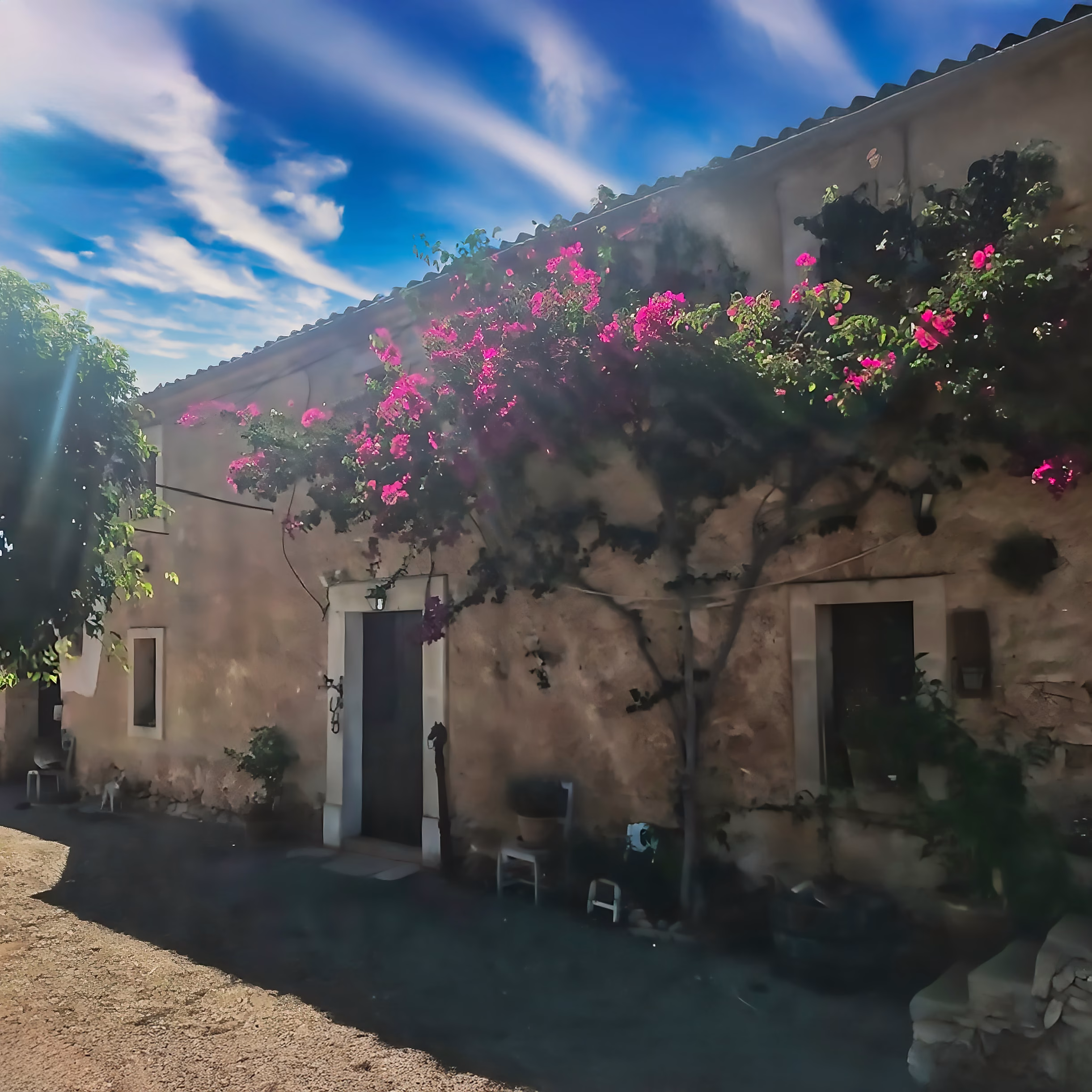 Immobilienverwaltung Mallorca